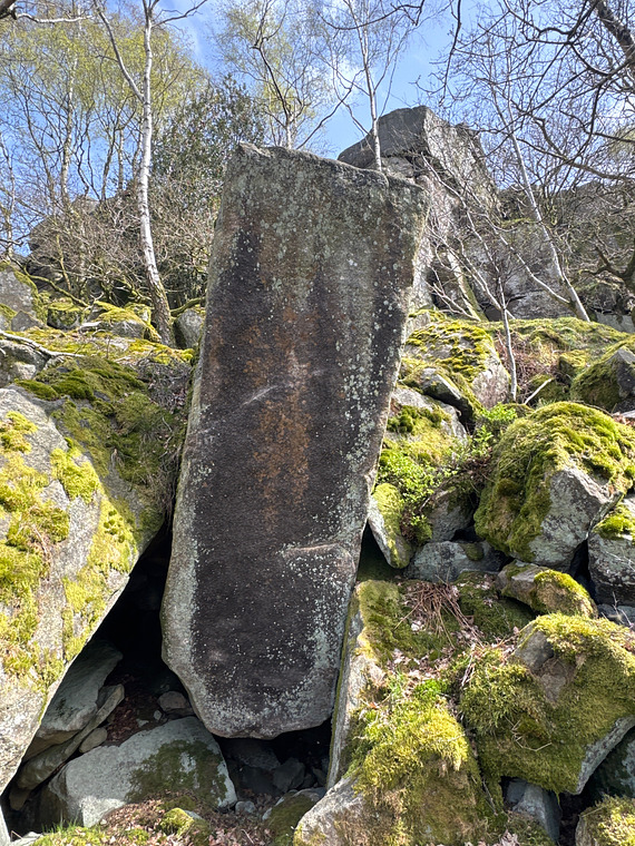 Flight of the Bumblebee