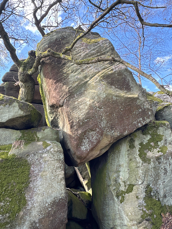 A Sausage King of Meersbrook