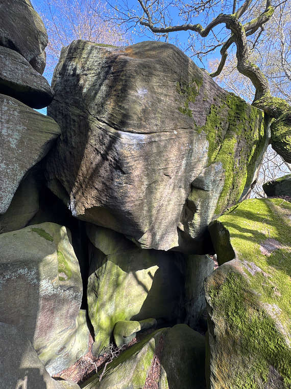 A Sausage King of Meersbrook