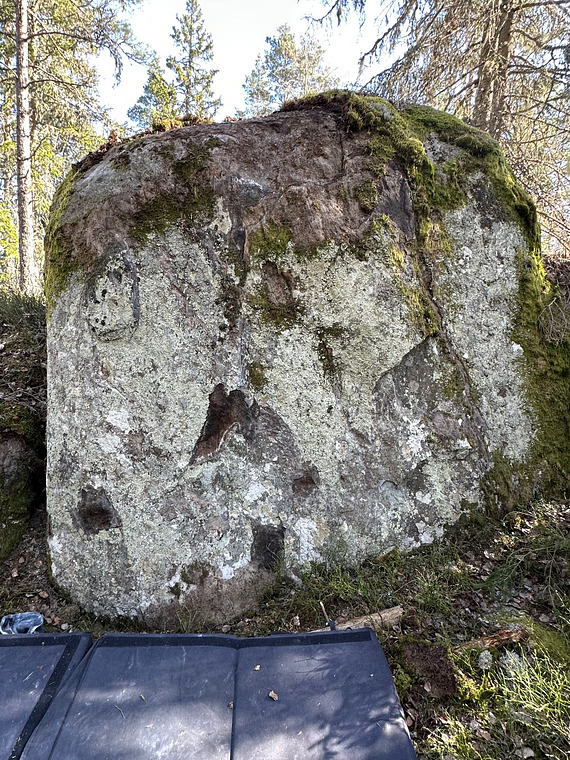 Skogen