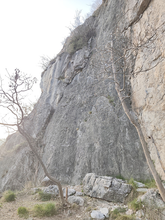 Pala del san martino 