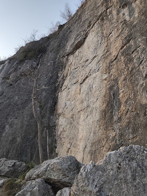 Pala del san martino 