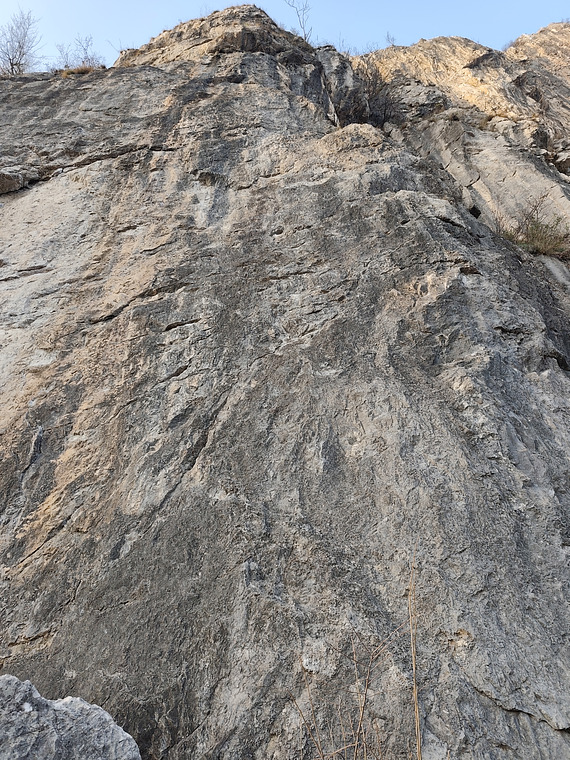 Pala del san martino 