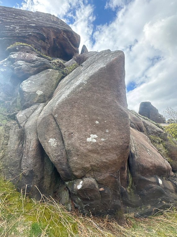 California Screaming