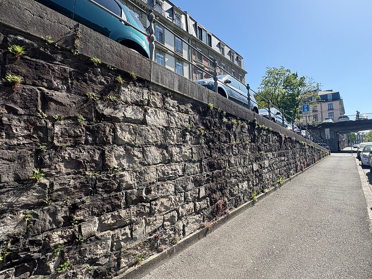Le mur des réformés droit