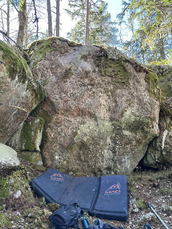 Skogen