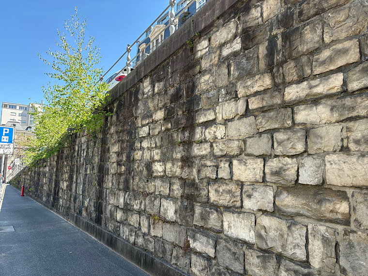 Le mur des réformés gauche