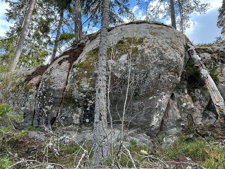 Södra bullen