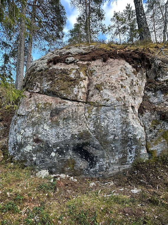 Södra bullen