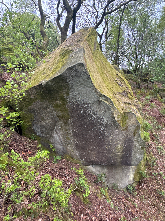 Pebble to the mettle 