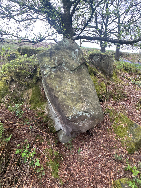 Confessions of a pebble