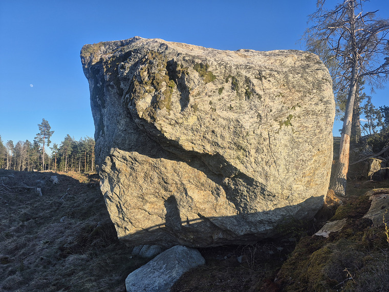 Kalvö