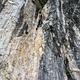Carpinello thumbnail