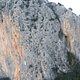 Tufo de guiri buenorra thumbnail