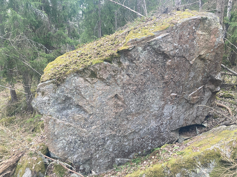 Fyra små grisar