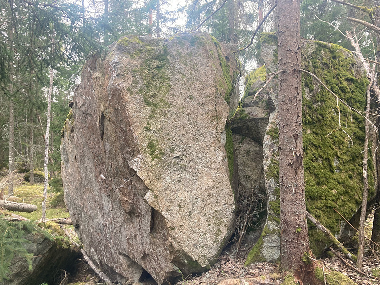 Fyra små grisar