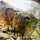 Bites de dust thumbnail