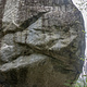 Bonsai thumbnail