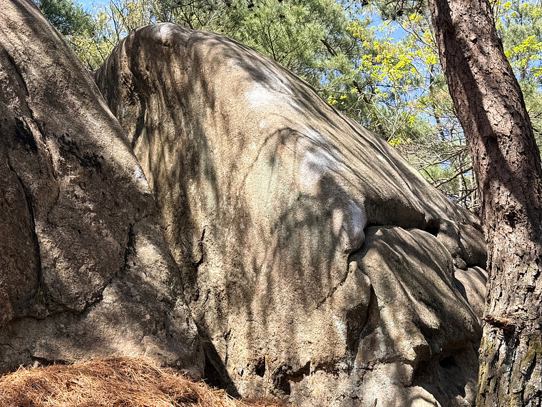 황새 Heron Boulder