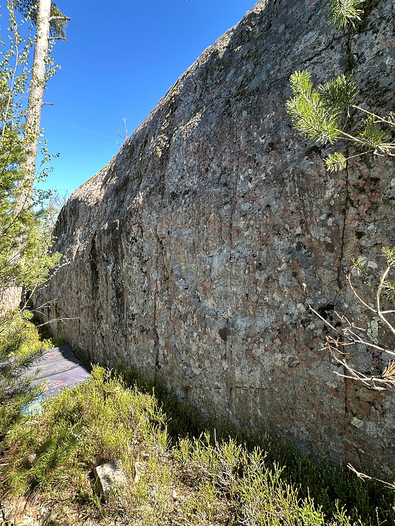 Södra väggen