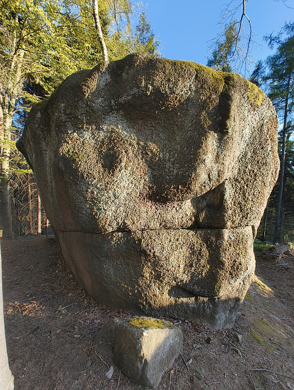 Kočí