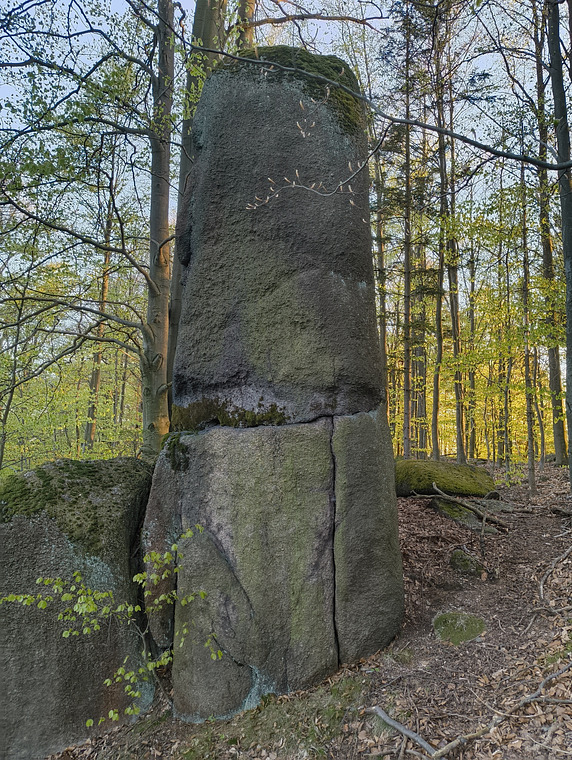 Jehlička