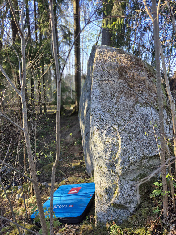Moori kivi