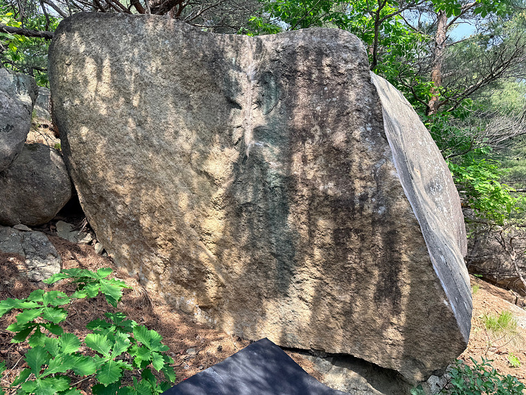 페트 Pet Boulder