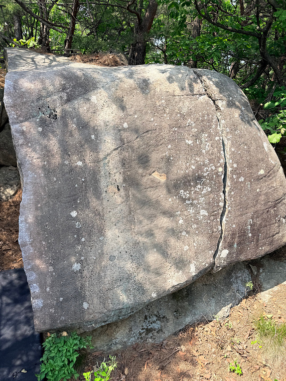 페트 Pet Boulder