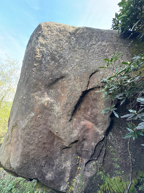 Secret Dyno