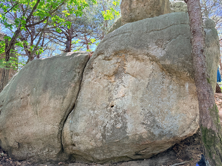 새 Bird Boulder