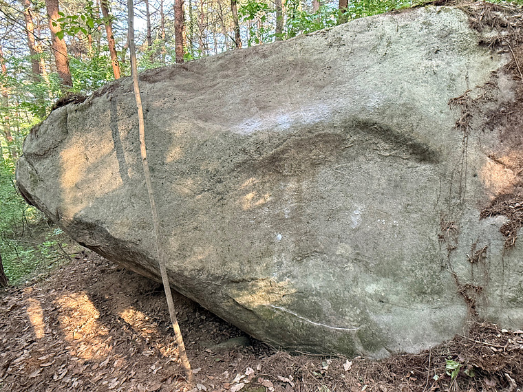정글 Jungle Boulder