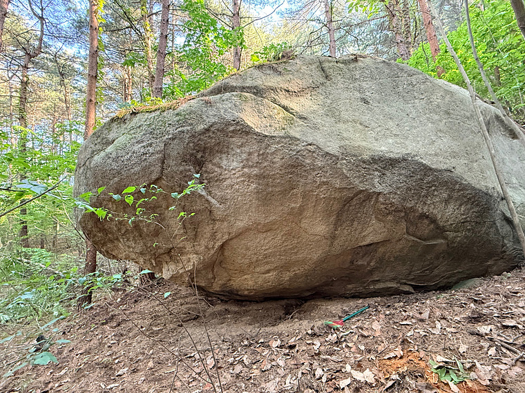 정글 Jungle Boulder
