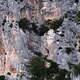 Unknown line  thumbnail