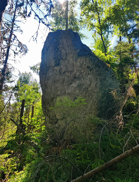 Blocket i branten