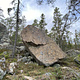 Arga gubben thumbnail