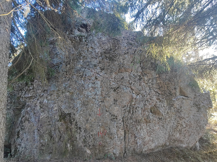 Pesolanpuisto