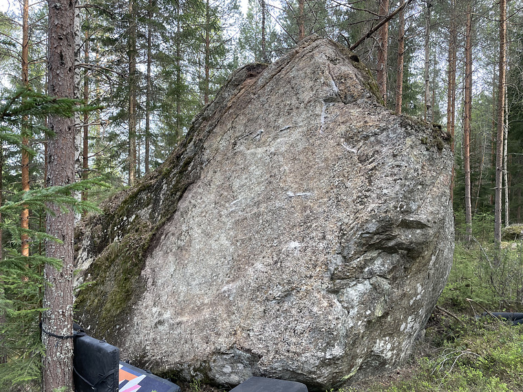 Hedda