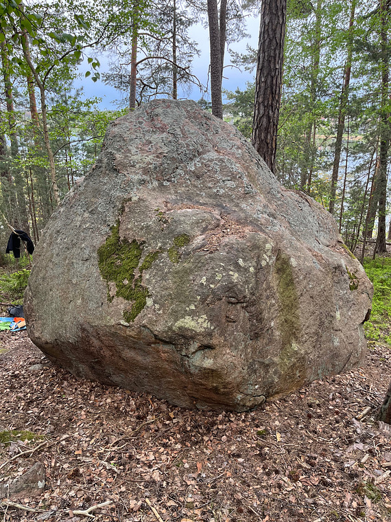 Falkbergsbumlingen