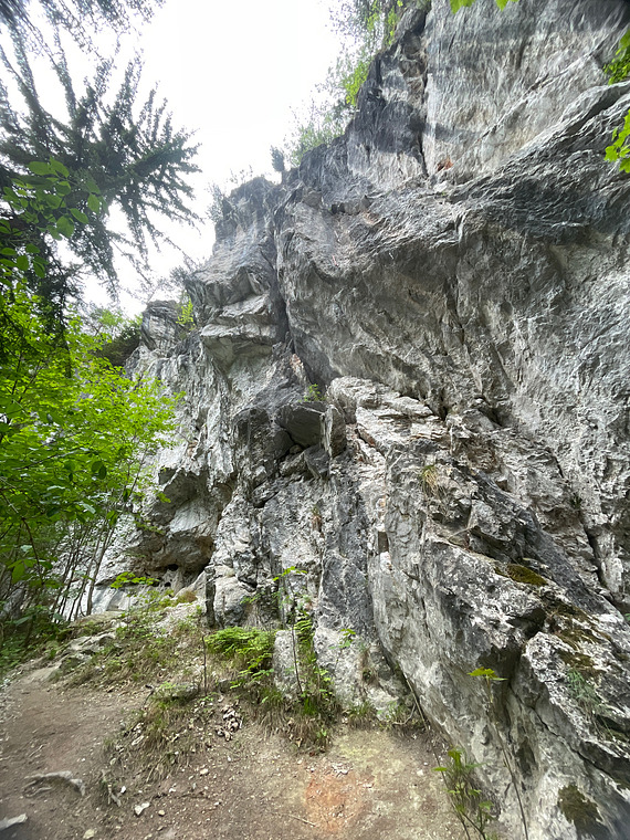 Hauptwand