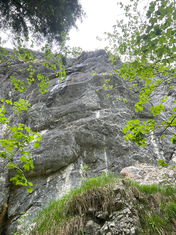 Niemandsland 