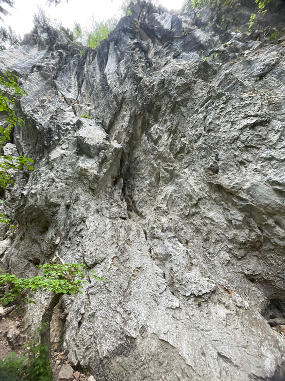 Hauptwand
