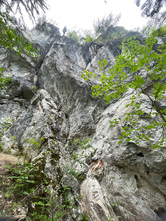 Hauptwand