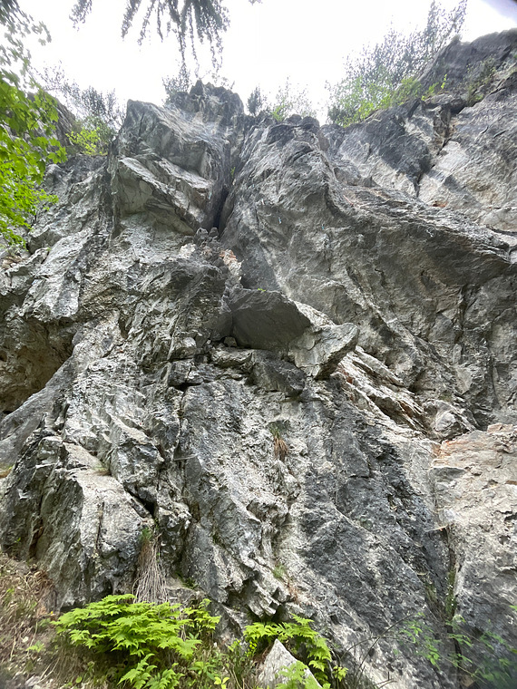 Hauptwand