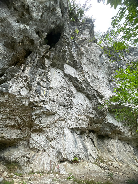 Hauptwand