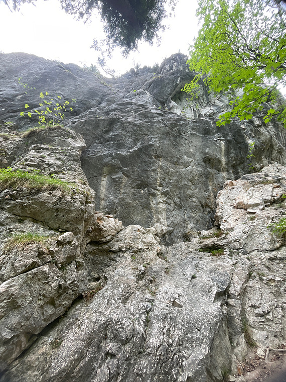 Niemandsland 