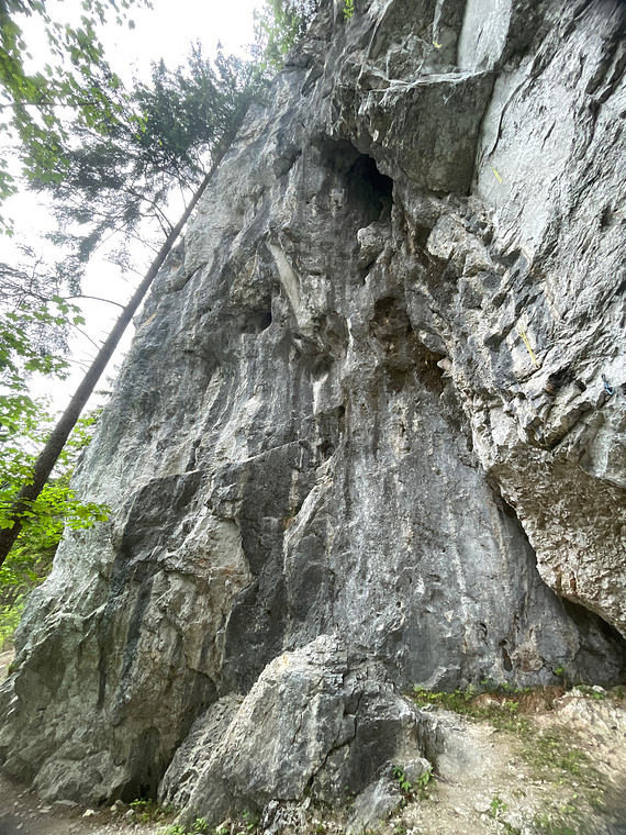 Hauptwand