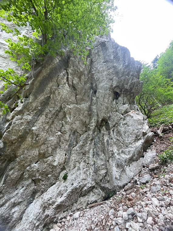 Niemandsland 