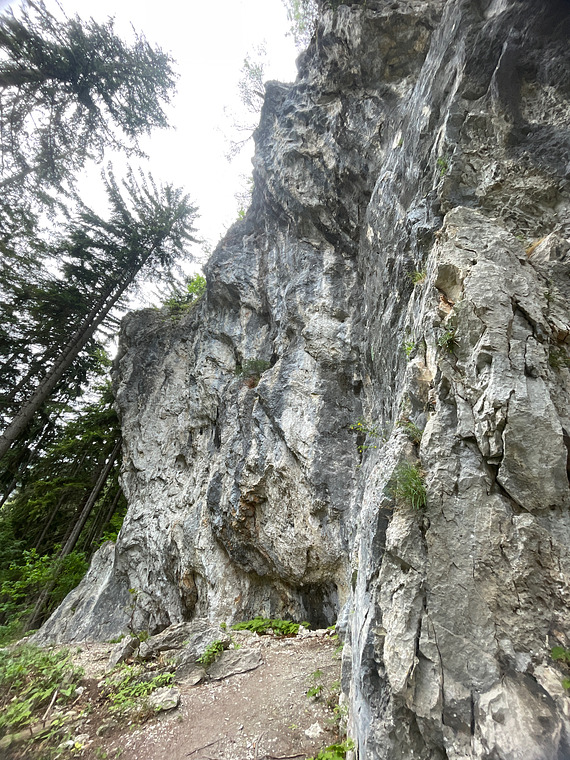 Schattenreich Ende 