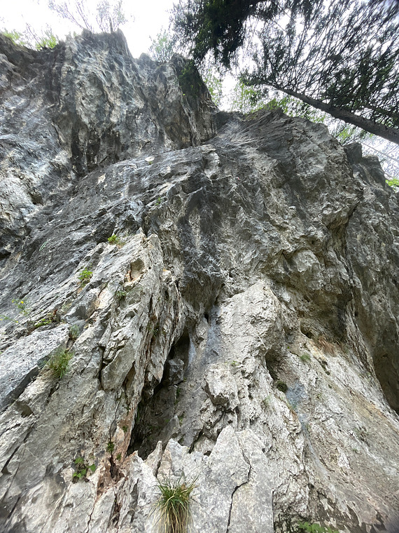 Schattenreich Ende 